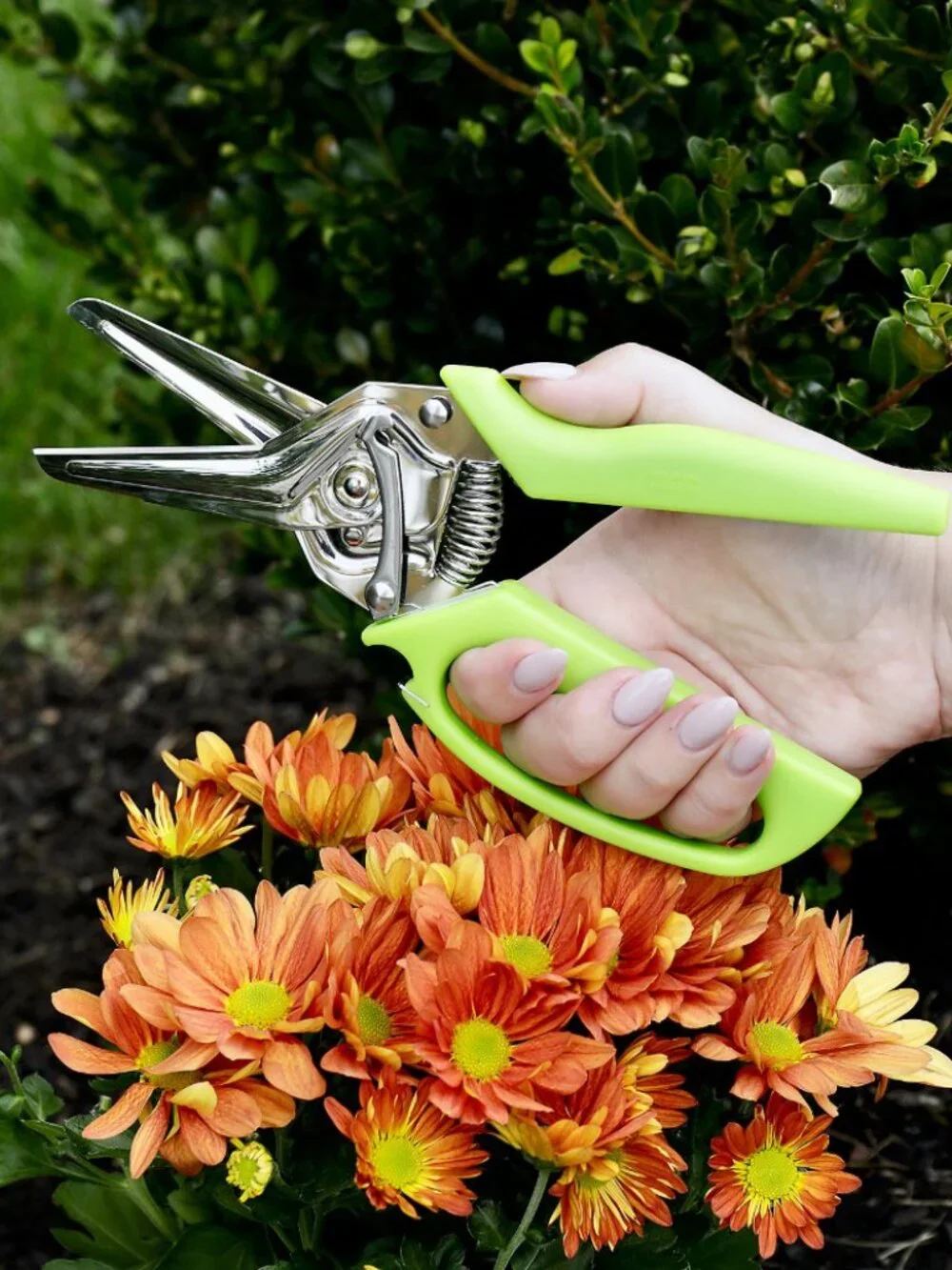 Kuhn Rikon 3-in-1 Shears with Loop Handles Set of 2 TEAL NEW K88161